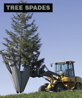 SetHeight400 23 Tree Spades color
