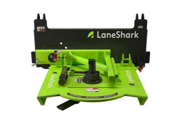 laneshark cat thmb