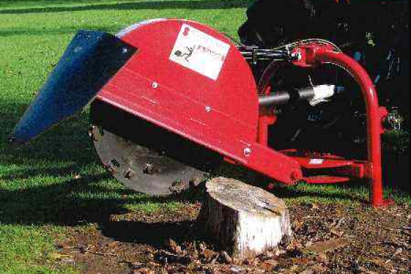 shaver cat thmb
