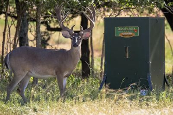 texas hunter cat thmb